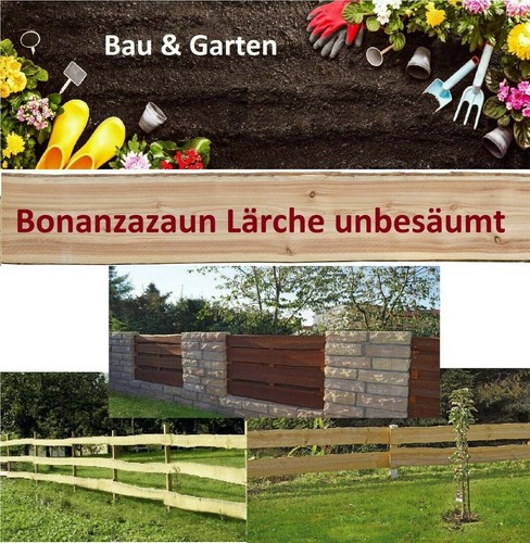 Bonanzazaun lärche kiefer - bonanzazaun,