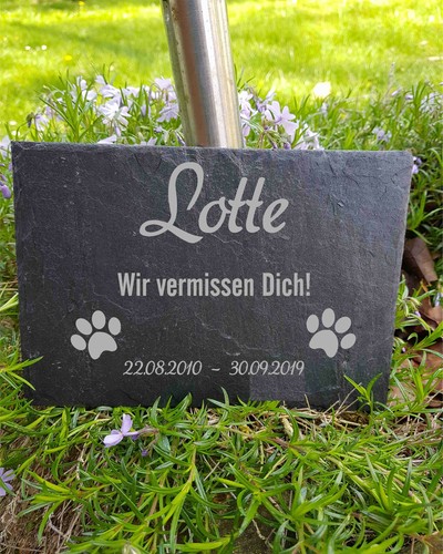 Schiefertafel gedenktafel hund - schiefertafel,