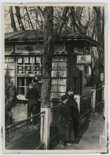 Orig foto ungarische - foto,