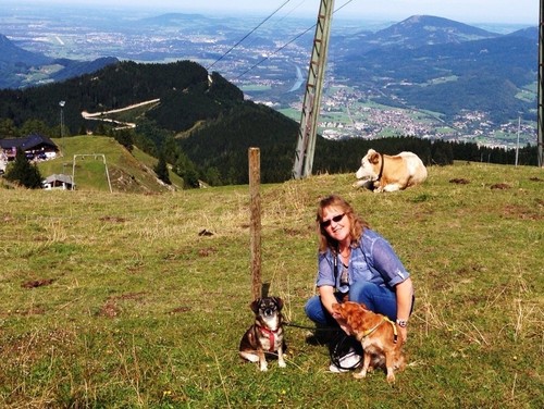 Bachblüten für hunde - für,