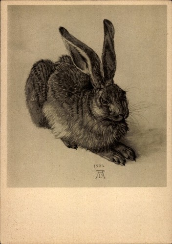 Künstler dürer albrecht - künstler, dürer,