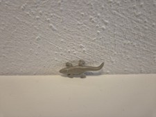 Playmobil 4463 Kaimanbecken: Eidechse Kaiman 30278180