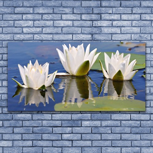 Acrylglasbilder wandbilder - acrylglasbilder,