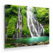 Wunderschöne Wald Bilder auf