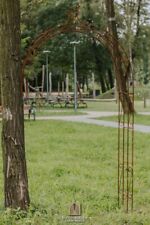 Wandrosenbogen Lena Spitze