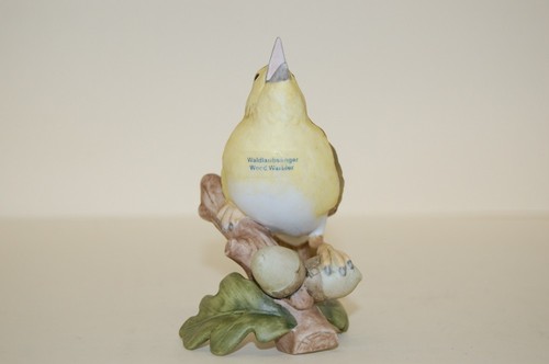 Vogel waldlaubsänger - vogel,