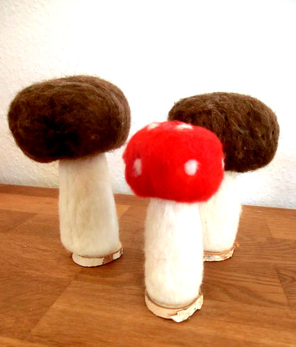 Pilz fliegenpilz steinpilz - fliegenpilz,