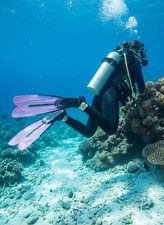 CRESSI Agua Fins Flossen  Tauchen, Rosa, Schnorcheln Schwimmen Tauchen Lang