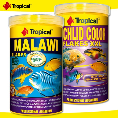 Tropical 1000 cichlid color - 1000,