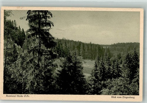 38221468 rominten rominter - 38221468,