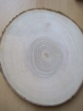 5 x Holzscheiben Esche