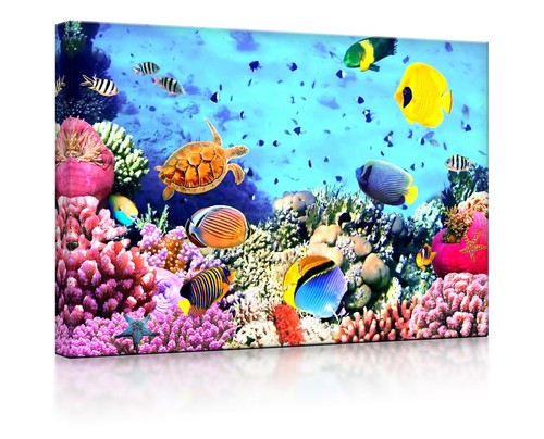 Beleuchtetes bild led - beleuchtetes,