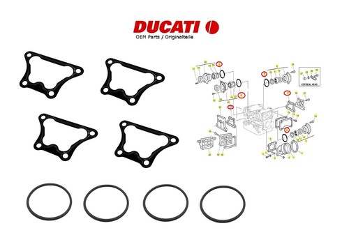 Ducati 748 916 996 - , 888