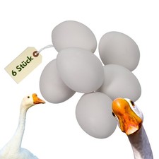 6x Legeeier Kunsteier Nesteier