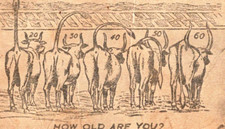 CASINO CAFE Oscar Cautch