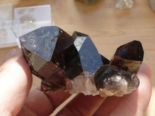 RAUCHQUARZ Kristall Stufe *Val Giuv, Schweiz (140r.) Smokey Quartz, Switzerland