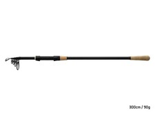 Delphin TORRAX TeleCARP 3m 90g