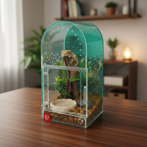 Spinnen terrarium mit - spinnen-terrarium,