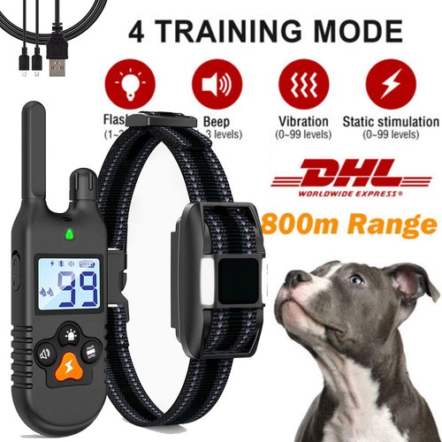 Hunde halsband - hunde,
