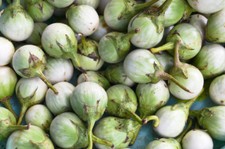 SAMEN Toller Party Gag die lustigen kleinen Früchte die afrikanische Aubergine