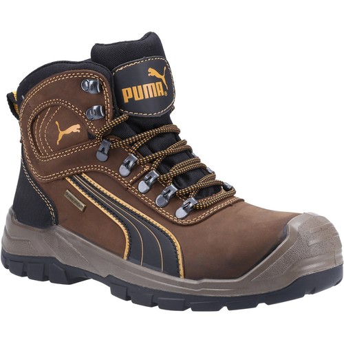 Puma sierra nevada - puma,
