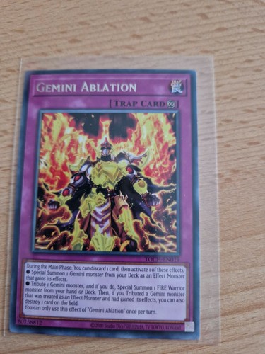 Gemini ablation toch - gemini, toch-019