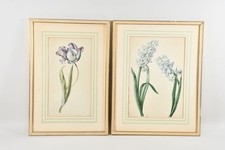 C25R20- 2x Aquarell Botanik Blumen 18.Jh. 