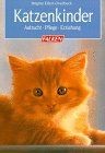 Katzenkinder aufzucht - katzenkinder.,