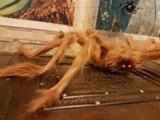 Gruselige, eklige RIESENSPINNE