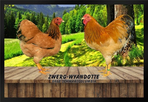 Fußmatte hühner zwerg - hühner,