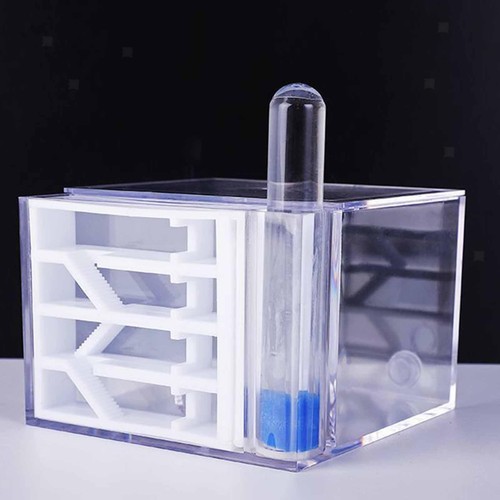 Ant farm habitat transparent - habitat,