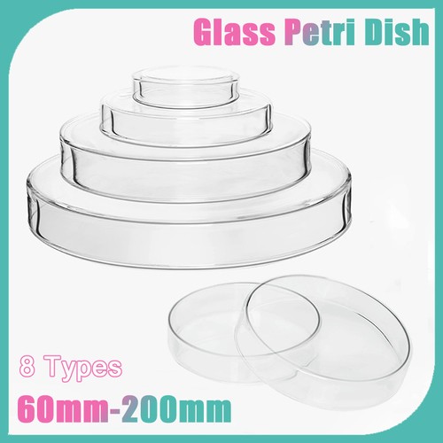Glas petrischale 60mm - glas, 60mm–200mm