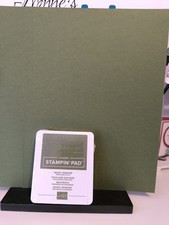 Stampin Up Farbset Waldmoos - Stempelkissen + 4 Blatt Farbkarton,