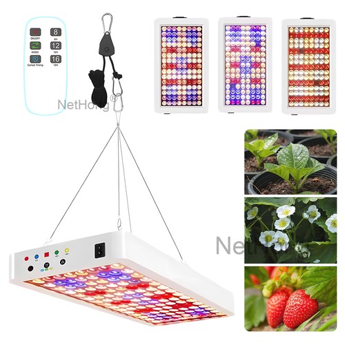 Europä spezifikation led - spezifikation,