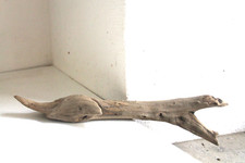 Schwemmholz Treibholz Skulptur - sehr schön- L 32 cm  Fisch Auge Kopf Vogel