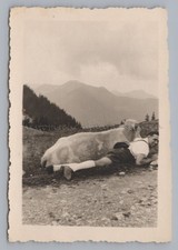 Wallberg tegernsee 1942 - 1942,