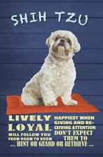Holzschild 18x12 cm Shih Tzu