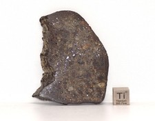 Meteorit, NWA 869