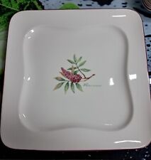 Villeroy & Boch Speiseteller  " vivo "    -  6 vorhanden