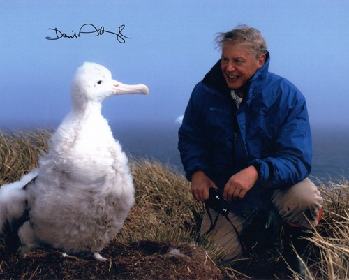 David attenborough signiertes - attenborough,