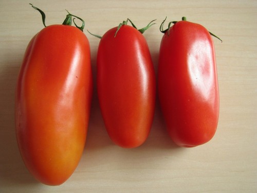 San marzano tomate alte - marzano,