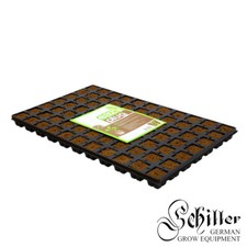 Easy Plug Stecklingstrays 77