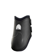 Veredus Carbon Gel hinten