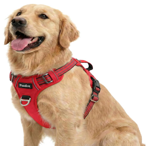 Funfox hundegeschirr - funfox,
