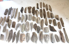 Schwemmholz Treibholz 60