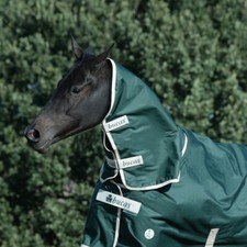 Bucas Greenline Neck 50g -