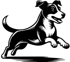  JACK RUSSELL TERRIER