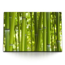 120x80cm Wandbild auf Leinwand