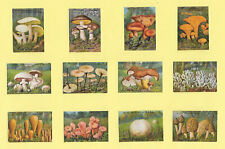 POSTER BRIEFMARKEN GESUNDE