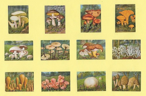 Poster briefmarken gesunde - briefmarken,